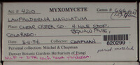Image Associated With the Occurence